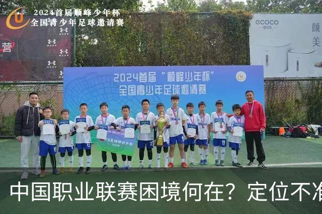 中国职业联赛困境何在？定位不准！理念错位！