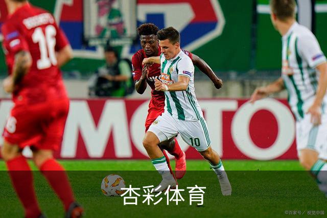 杏彩体育公司介绍